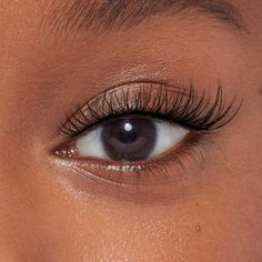 Halle Wispy Mink Lashes Fluffy Cat Eye Strip lashes